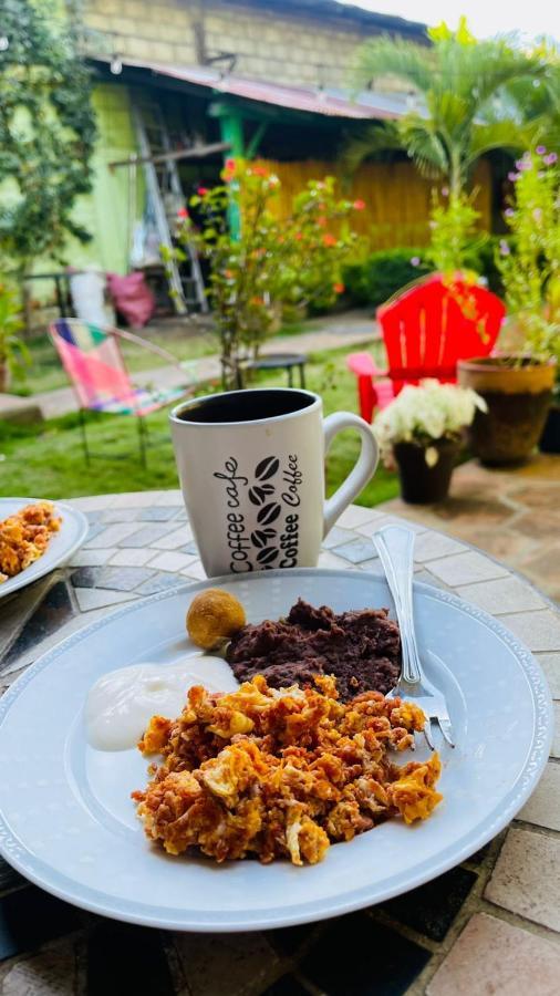 Hostal El Jardin León エクステリア 写真