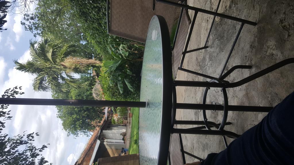 Hostal El Jardin León エクステリア 写真