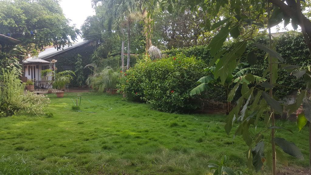 Hostal El Jardin León エクステリア 写真