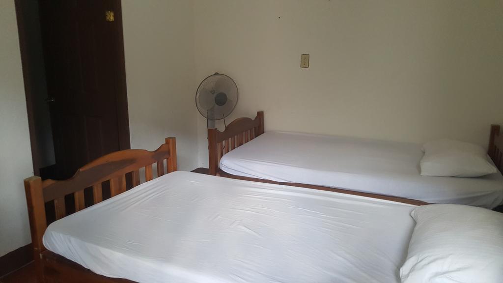 Hostal El Jardin León エクステリア 写真