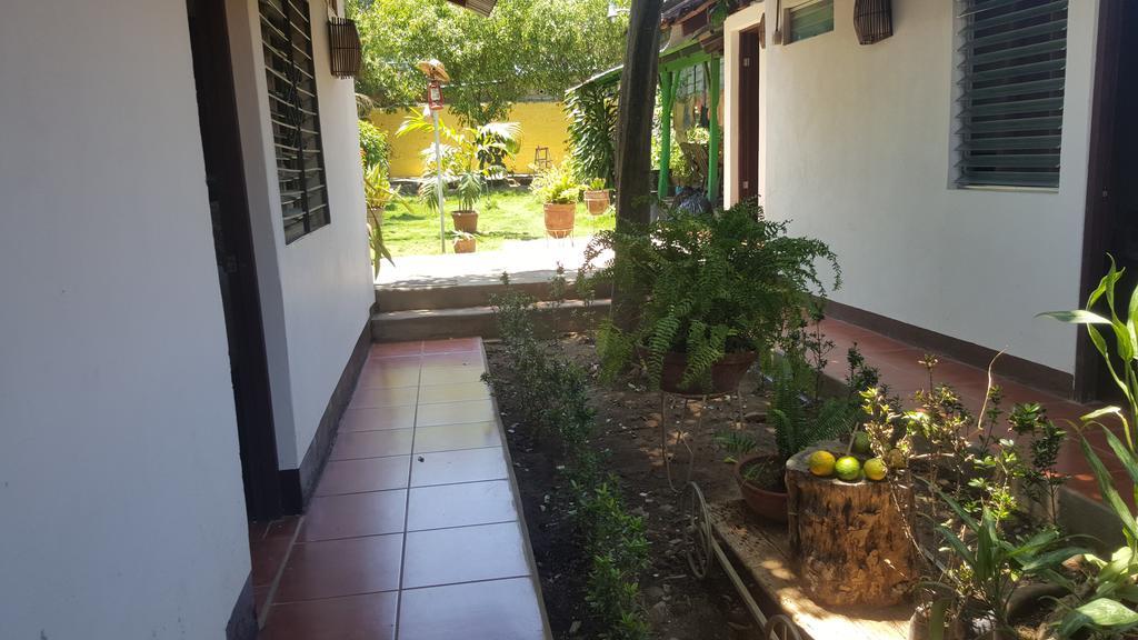 Hostal El Jardin León エクステリア 写真