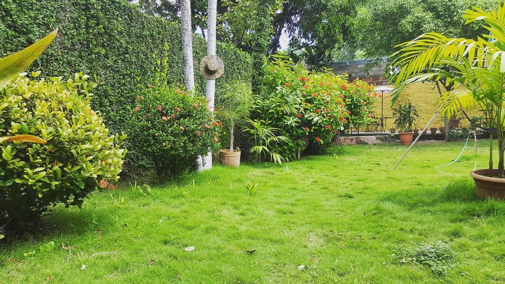 Hostal El Jardin León エクステリア 写真