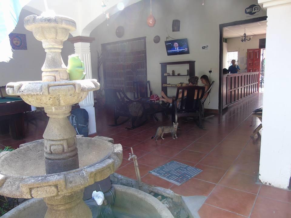 Hostal El Jardin León エクステリア 写真